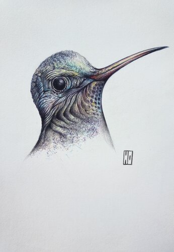 Plumage von Hubert Ollivier, Zeichnungen kaufen auf Singulart