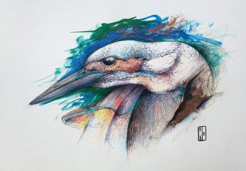 Martin-pêcheur von Hubert Ollivier, Zeichnungen kaufen auf Singulart