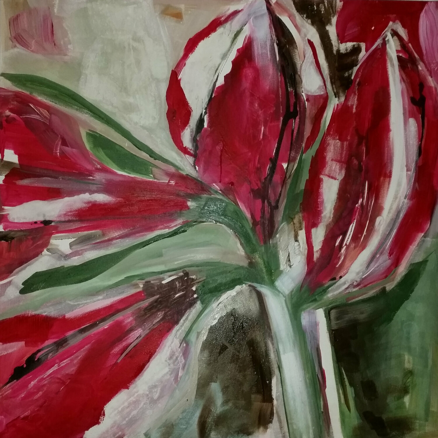 Amaryllis Birgit Günther