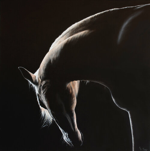 Horse- lines of beauty di Marie Madej, Pittura in vendita su Singulart