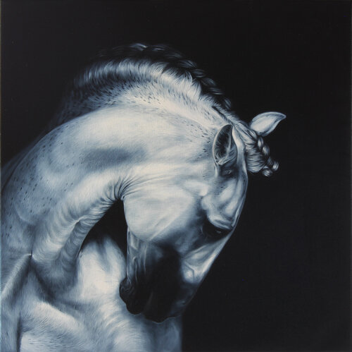 Andalusian horse de Marie Madej, Pintura a la venta en Singulart