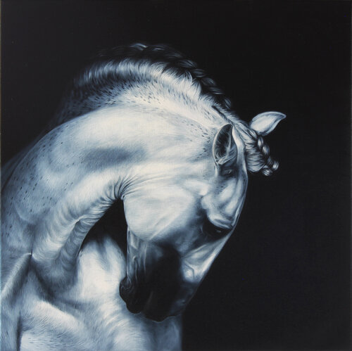 Andalusian horse di Marie Madej, Pittura in vendita su Singulart