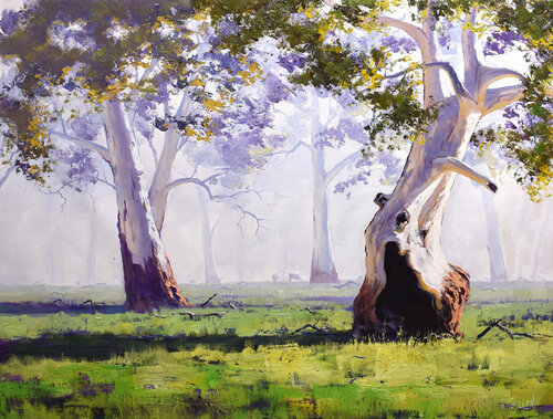 Majestic Gums Australia by Graham Gercken, Painting for Sale on Singulart