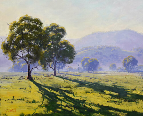 Bathurst Gum, Australia by Graham Gercken, Painting for Sale on Singulart