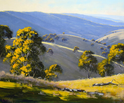 Summer Landscape Kanimbla valley Australia by Graham Gercken, Painting for Sale on Singulart