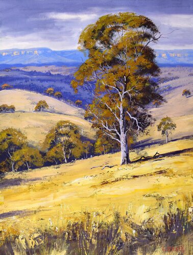 Summer Landscape Kanimbla valley Australia by Graham Gercken, Painting for Sale on Singulart