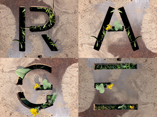 Silent Green Rage di Marit Otto, Fotografia in vendita su Singulart