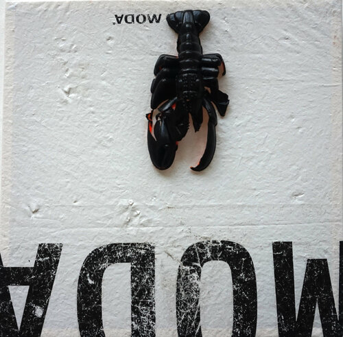 Langoustine A la  Mode di Marit Otto, Altri media in vendita su Singulart