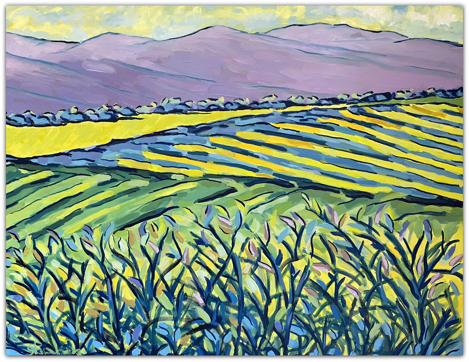 Country fields Jacques Sterenberg