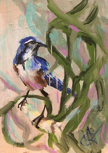 Rainy day Bluejay by Mariam Qureshi, Painting for Sale on Singulart