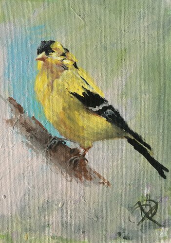 Yellow finch bird van Mariam Qureshi, Schilderij te koop op Singulart