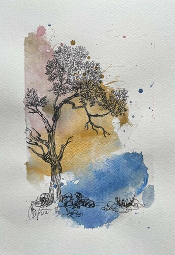 Pinyon Pine trees (Pinus edulis) Drawing by Mariam Qureshi, Drawing for Sale on Singulart