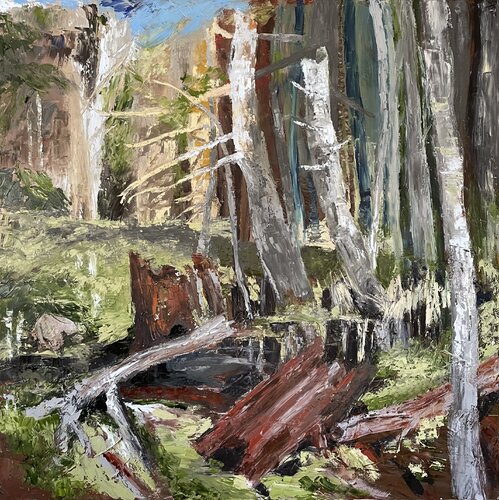 Memories of the rugged forest Mariam Qureshi