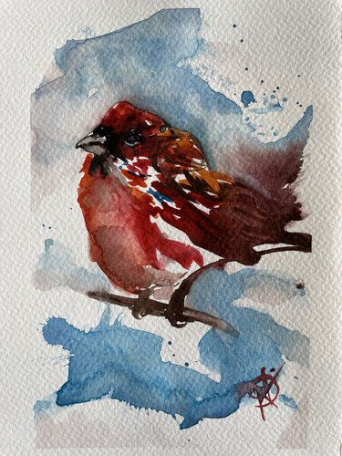 Purple finch by Mariam Qureshi, Painting for Sale on Singulart