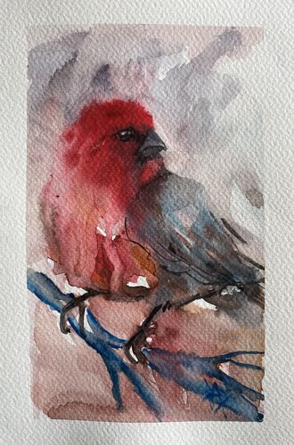 Le regard of this bird by Mariam Qureshi, Painting for Sale on Singulart