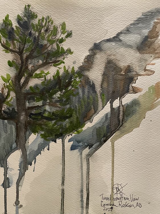 Alpine Tree at Tunnel Mountain, Plein air study Mariam Qureshi