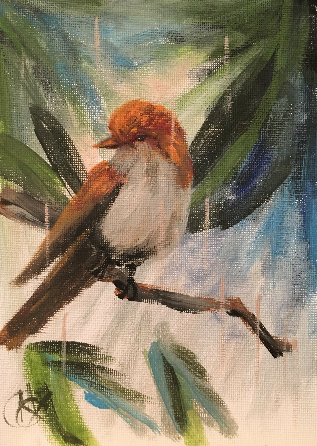 Mountain House Finch Mariam Qureshi