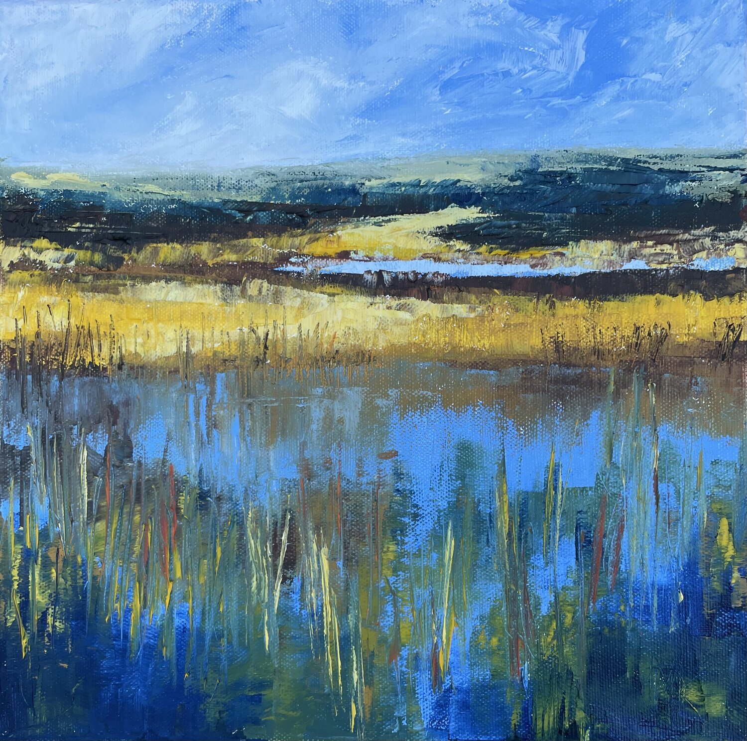 Stillness in the reeds Mariam Qureshi