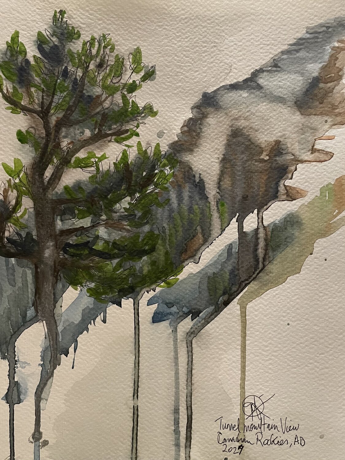 Alpine Tree at Tunnel Mountain, Plein air study Mariam Qureshi