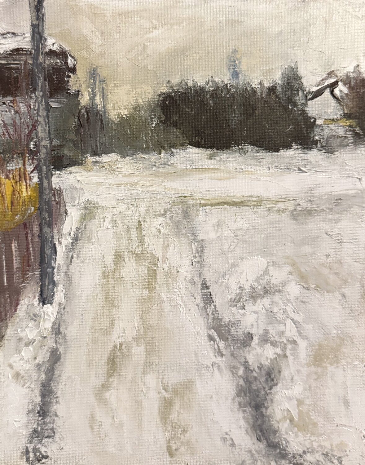 My front yard, refuge of silence Mariam Qureshi