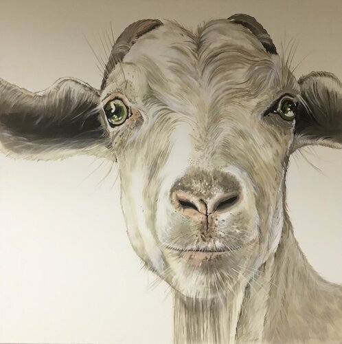 See me! van titia ohlhaver, Schilderij te koop op Singulart
