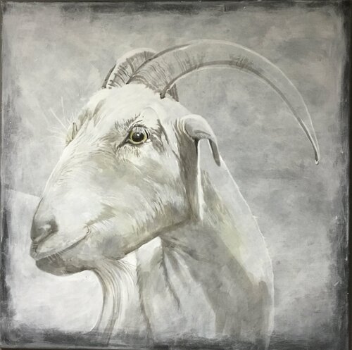 Come on! titia ohlhaver