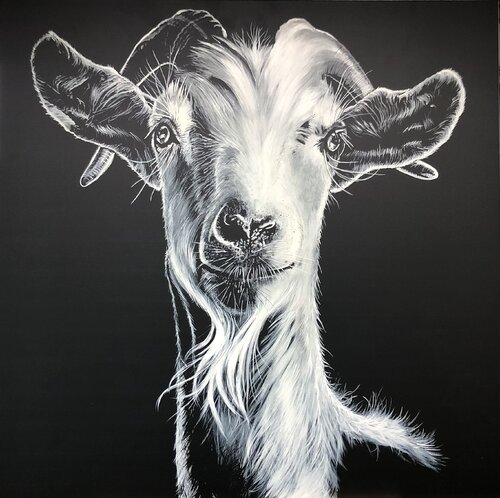 So What!?  black,matt von titia ohlhaver, Druck kaufen auf Singulart