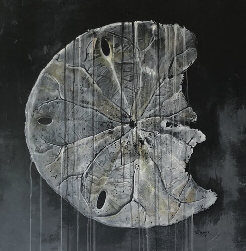 Sanddollar, silver von titia ohlhaver, Druck kaufen auf Singulart