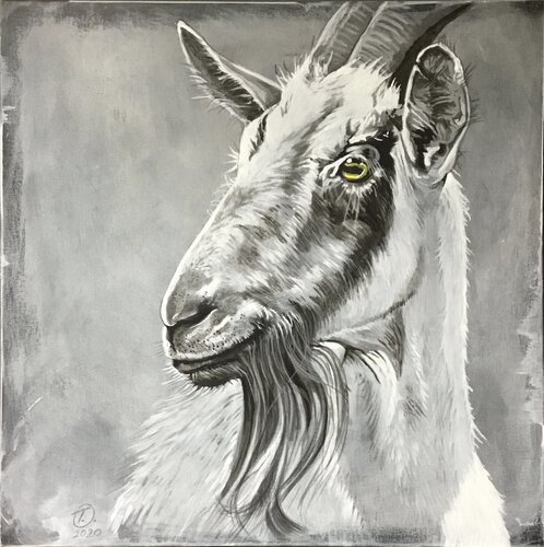 Welcome von titia ohlhaver, Malerei kaufen auf Singulart