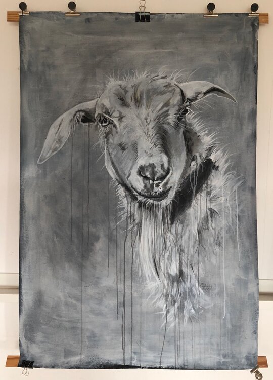 So what?! grey titia ohlhaver