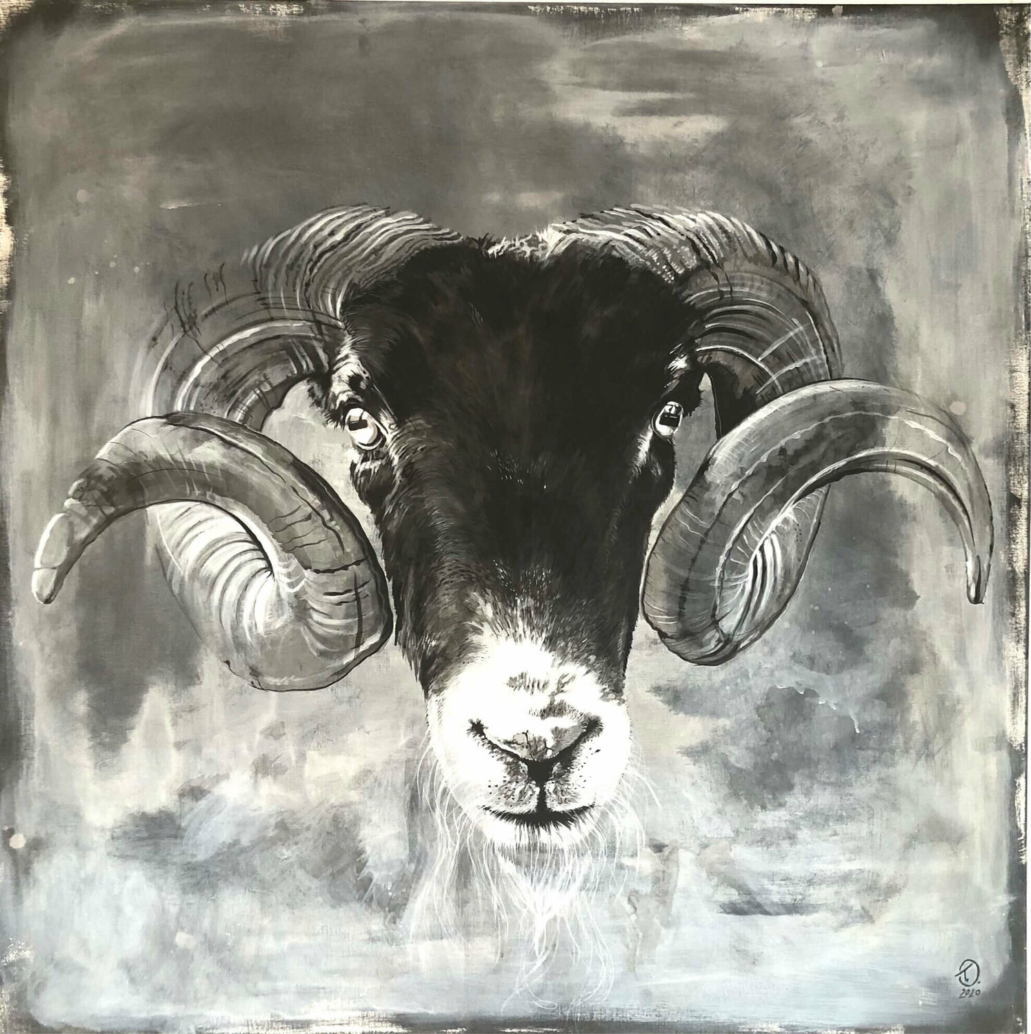 Dusty titia ohlhaver