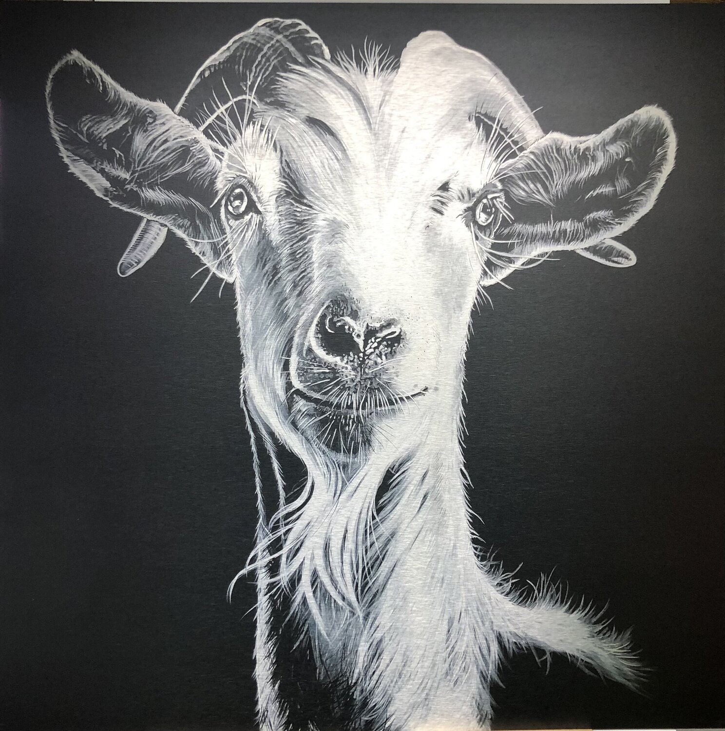 So what!? black,silver titia ohlhaver