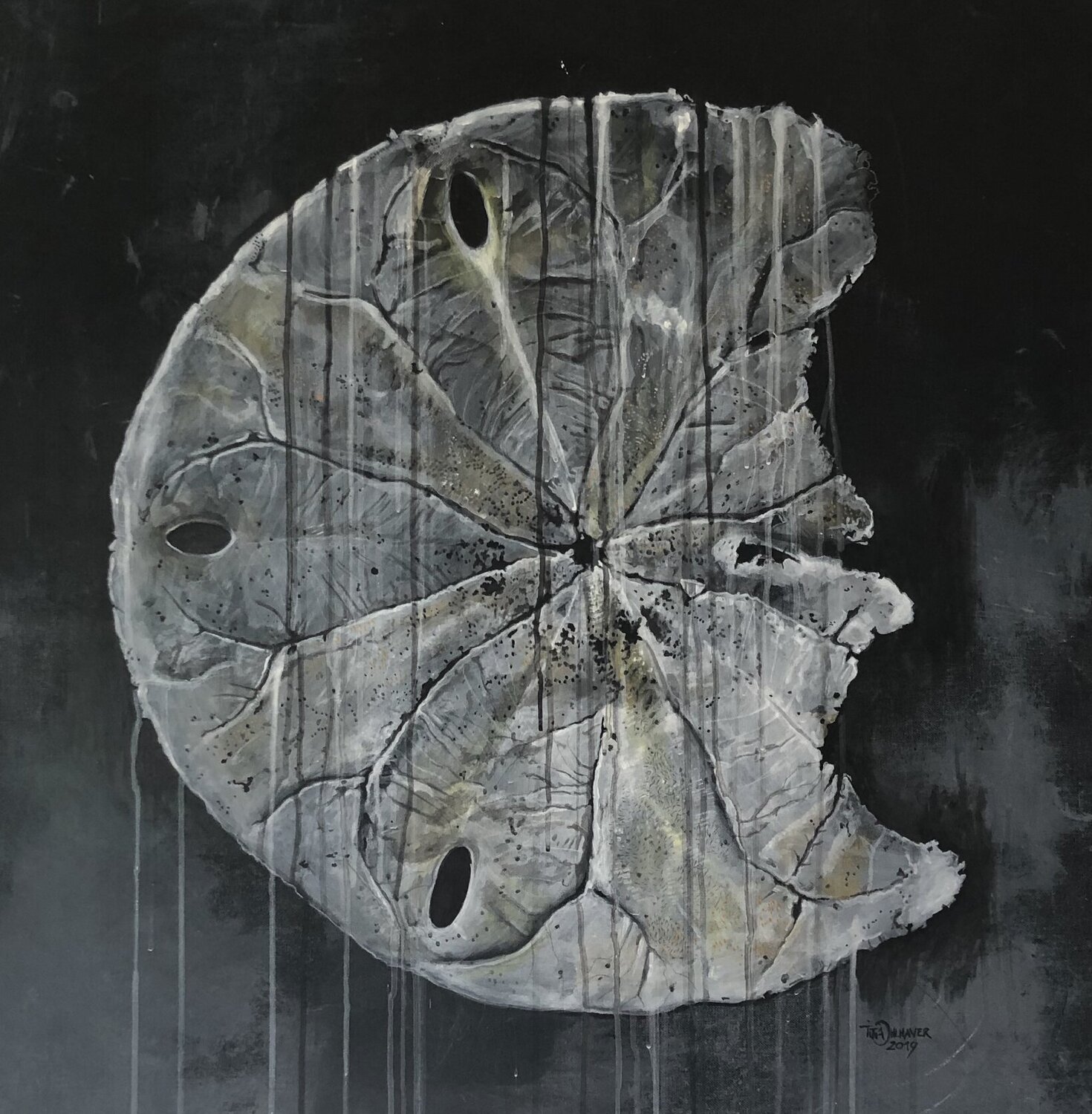 Sanddollar, silver titia ohlhaver