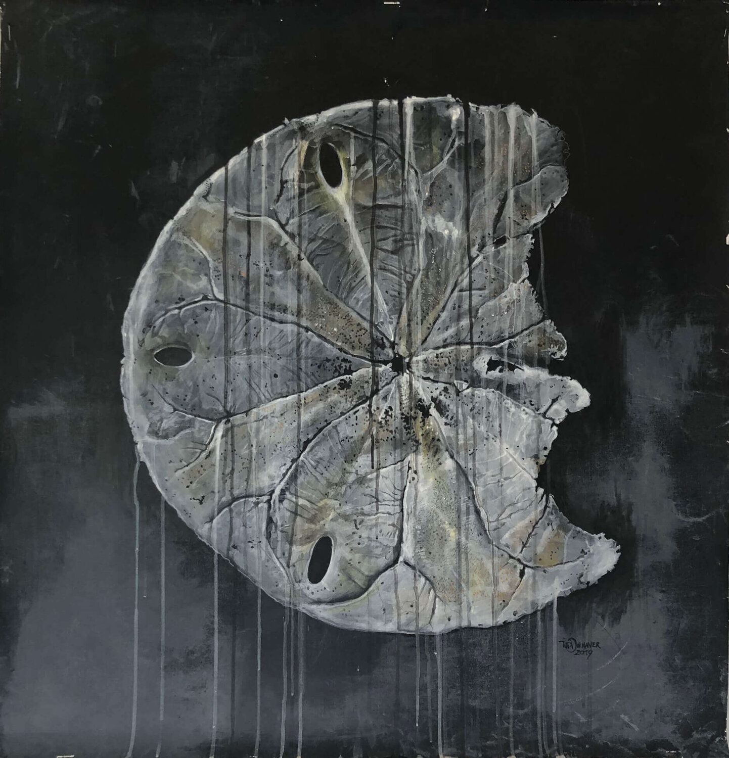 Sanddollar, Costa Rica, Pazifik titia ohlhaver Originalgemälde zu verkaufen
