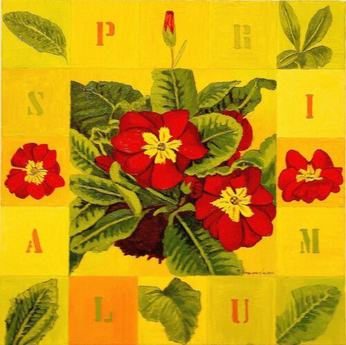 Dipladenias Marietta Negueruela