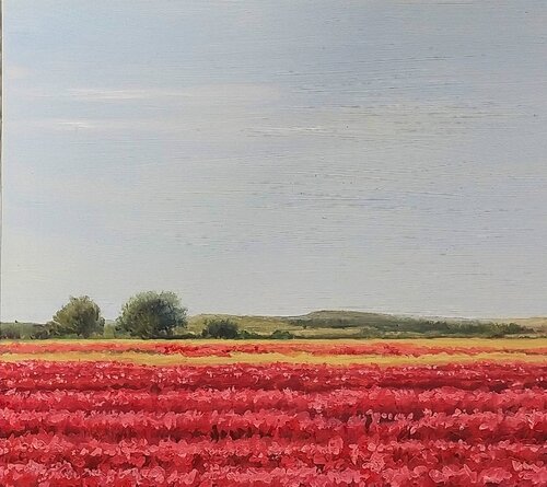 Amapolas en Camino de San Román I by Marietta Negueruela, Painting for Sale on Singulart