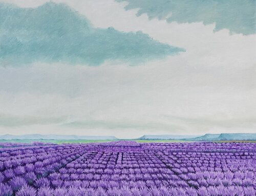 Paisaje de lavanda en  Francia Marietta Negueruela
