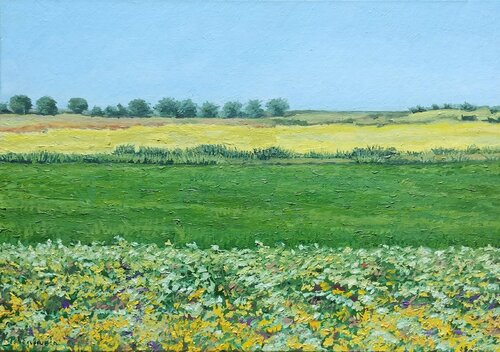 Campos de colza Marietta Negueruela