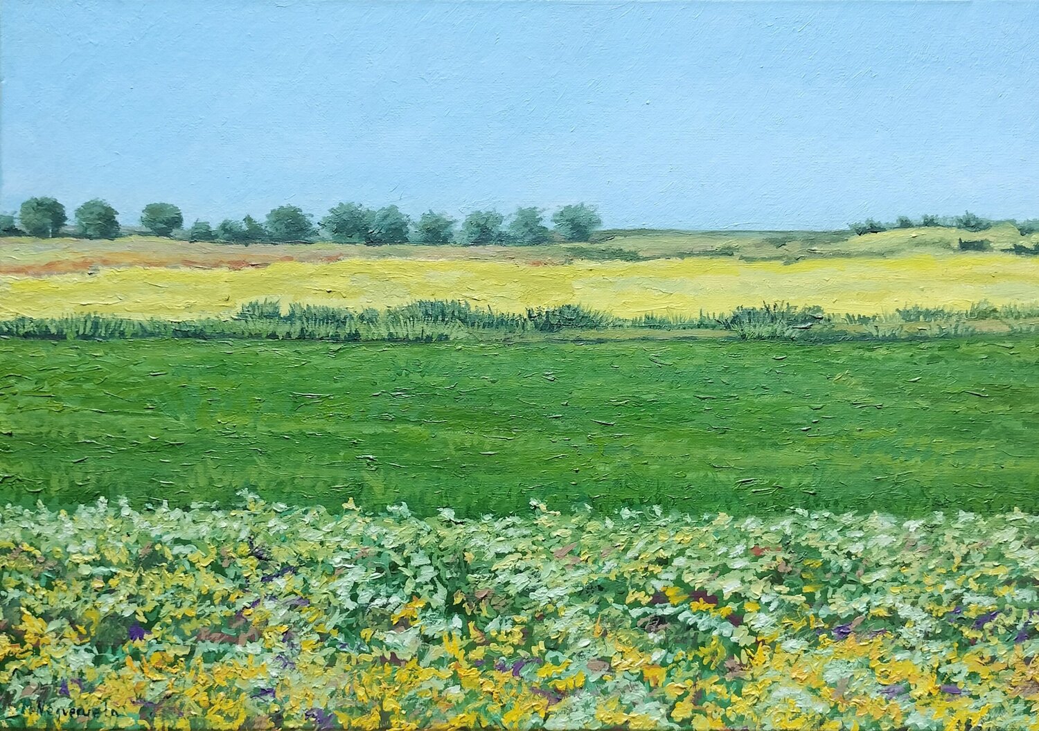 Campos de colza Marietta Negueruela
