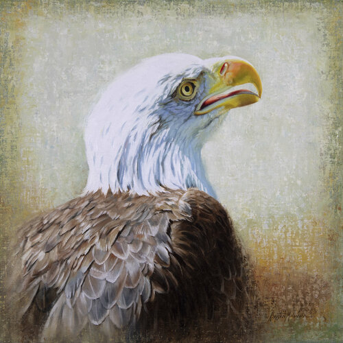Voaxaa'e - Bald Eagle, Cheyenne by Krystii Melaine, Painting for Sale on Singulart