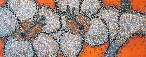 HIBISCUS WITH ORANGE BACKGROUND Carol Zsolt
