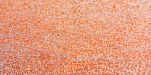 Inspiration 6801 de Carol Zsolt, Pintura a la venta en Singulart