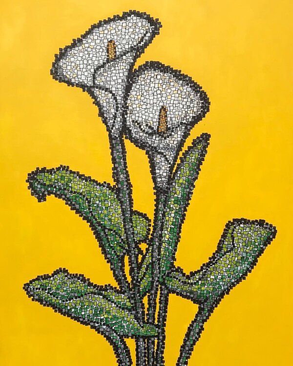 CALLA LILY Carol Zsolt