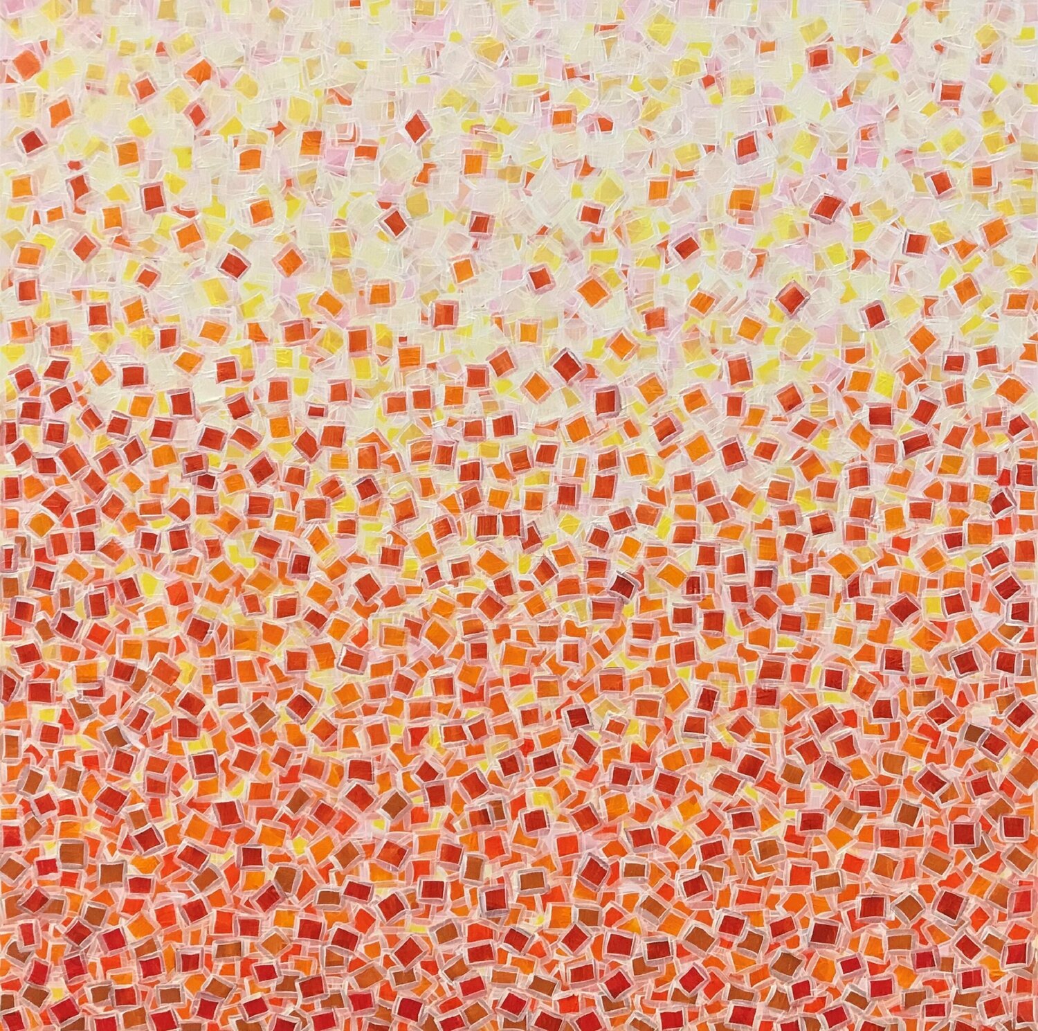 CITRUS Carol Zsolt
