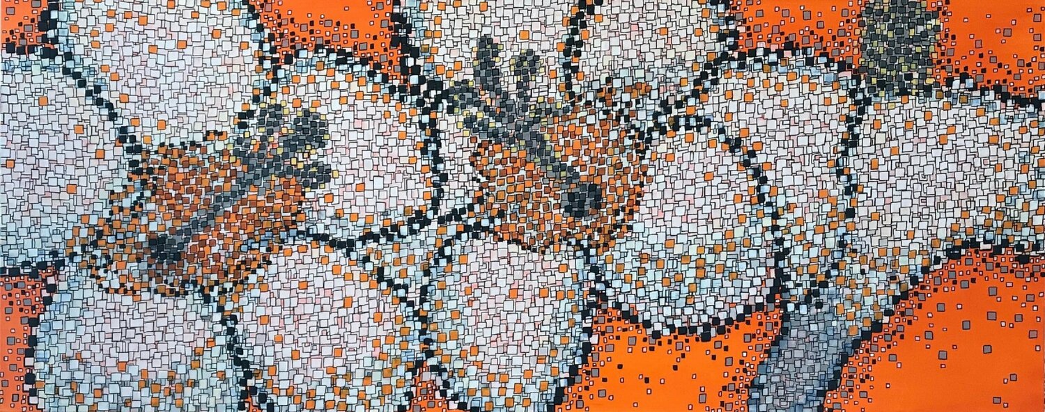 HIBISCUS WITH ORANGE BACKGROUND Carol Zsolt