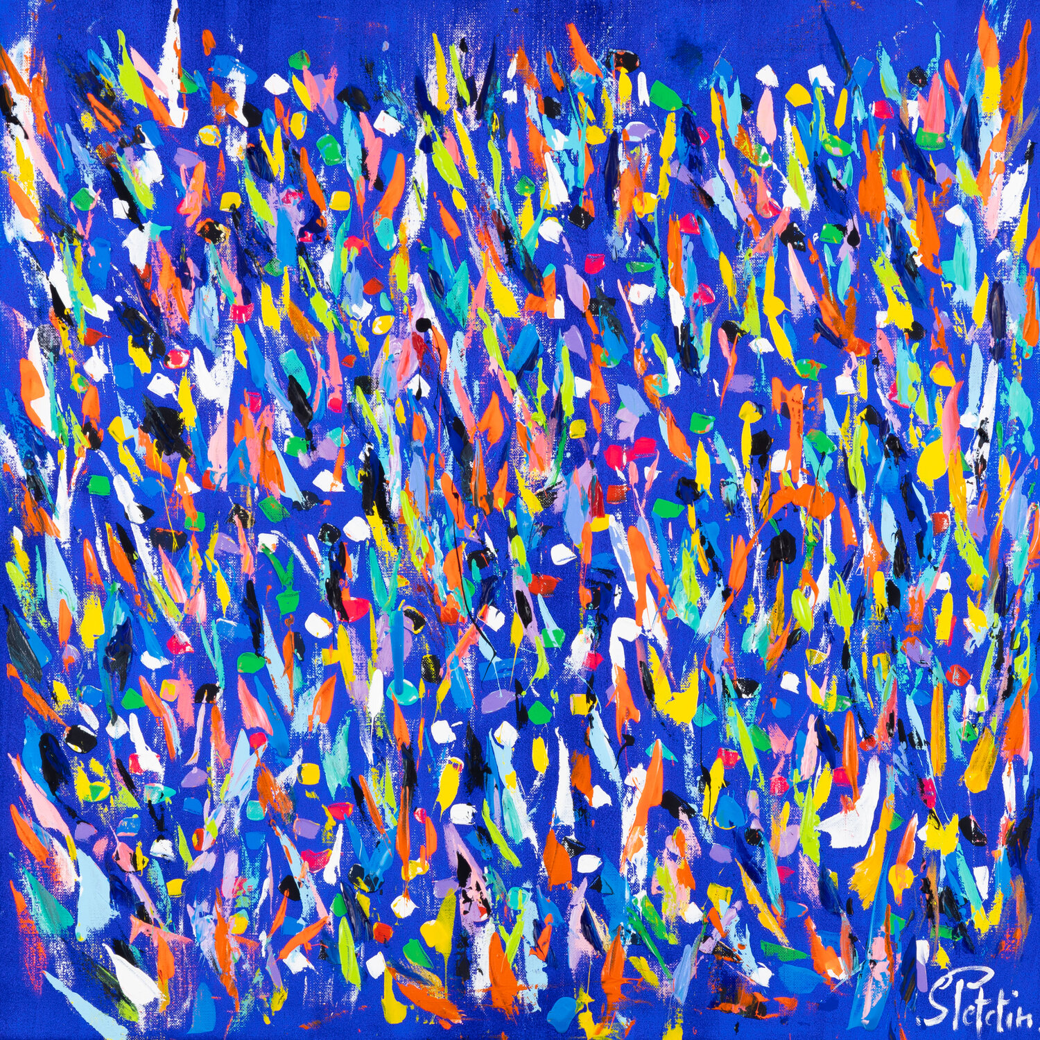 Que du Bonheur ! Sophie Petetin