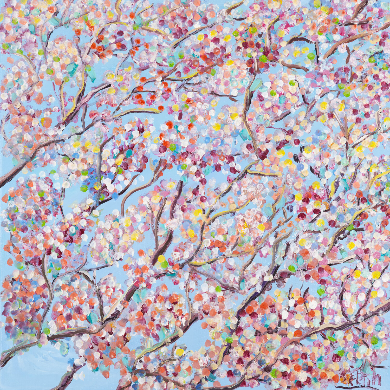 Enfin les sakuras Sophie Petetin