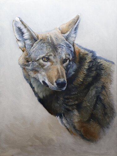 Wolf by Jason Roberts, Painting for Sale on Singulart