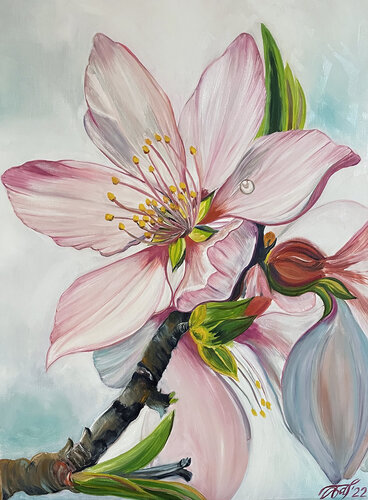 Peach flower van Anna Pavlovich-Naneva, Schilderij te koop op Singulart