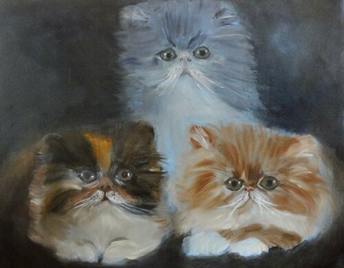 A TRIO OF KITTENS von Jenny Lee, Malerei kaufen auf Singulart